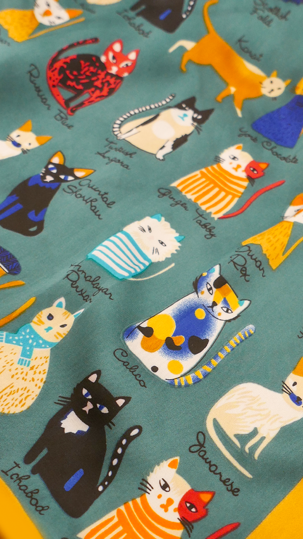 Colorful Cats Scarf