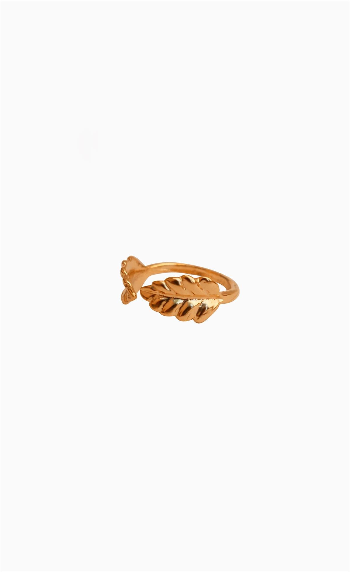 Leaf Joint Ring Gold Plated